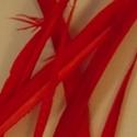 Load image into Gallery viewer, Fowl Material - Goose Biot Stripped