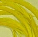 Load image into Gallery viewer, Fowl Material - Goose Biot Stripped