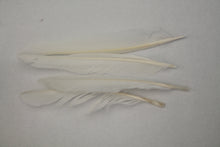 Load image into Gallery viewer, Fowl Material - Duck