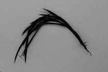 Load image into Gallery viewer, Fowl Material - Goose Biot Stripped