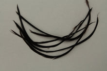 Load image into Gallery viewer, Fowl Material - Goose Biot Stripped