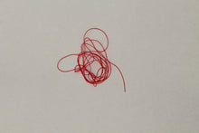 Load image into Gallery viewer, Larva Lace Midge Material