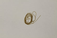 Load image into Gallery viewer, Larva Lace Midge Material