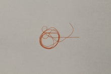 Load image into Gallery viewer, Larva Lace Midge Material