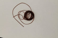 Load image into Gallery viewer, Larva Lace Nymph