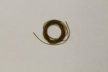 Load image into Gallery viewer, Larva Lace Nymph