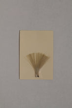 Load image into Gallery viewer, Microfibetts